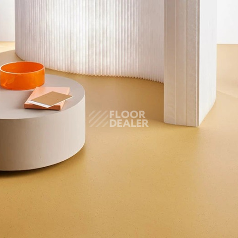 Forbo Marmoleum Solid Cocoa 3587 curcuma фото 3 | FLOORDEALER